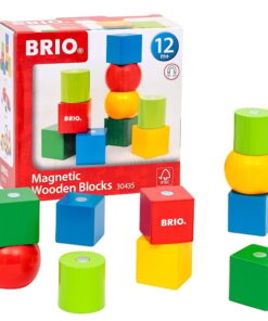 Brio Magnetic Wooden Blocks