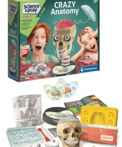 Crazy Anatomy