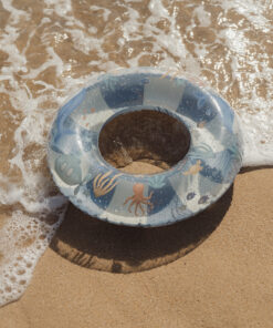 Alternative view of Little Dutch - Badering Ocean World 50 cm