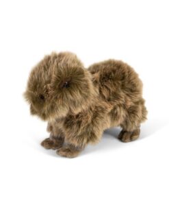 Capybara Bamse