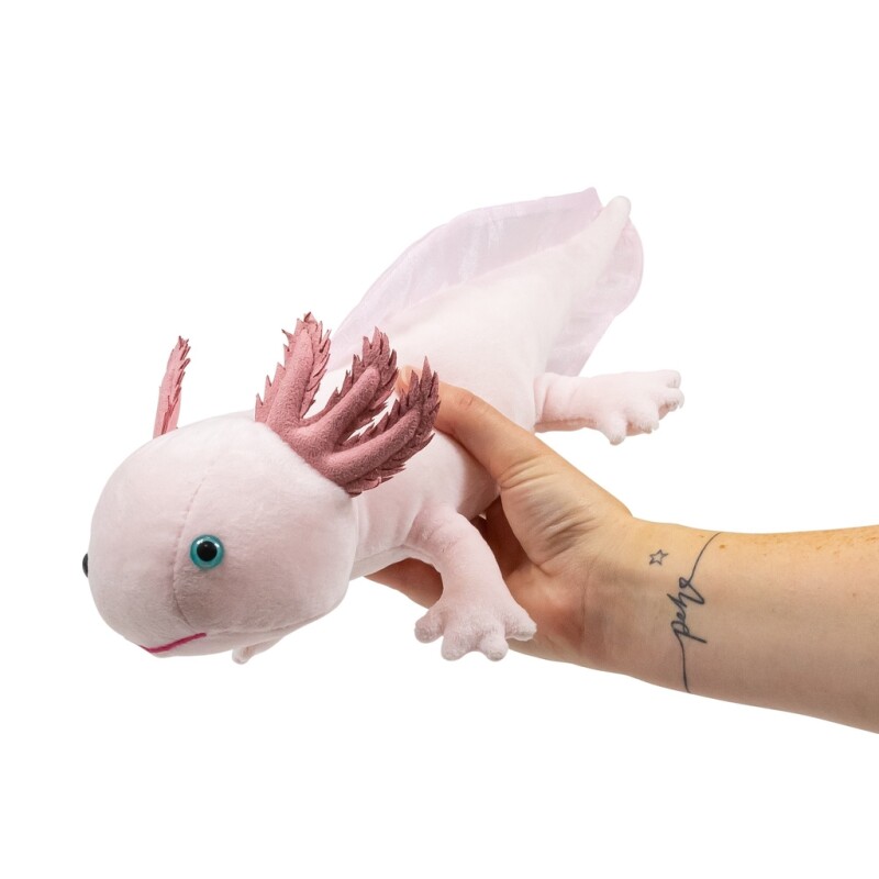 Axolotil Bamse - Image 3